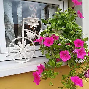 https://locanda-del-golfo.hotelitalianriviera.com