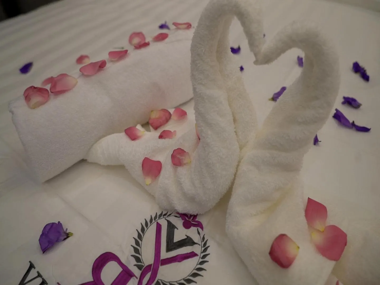 Appart hôtel Violet Rose Aprit Hotel DDjeddah Arabie saoudite