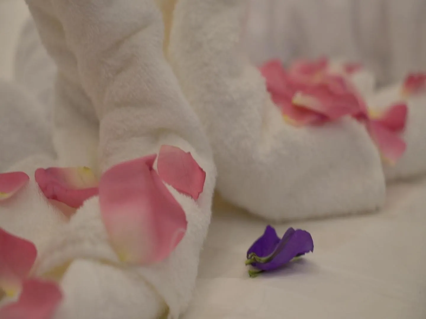 Appart hôtel Violet Rose Aprit Hotel DDjeddah